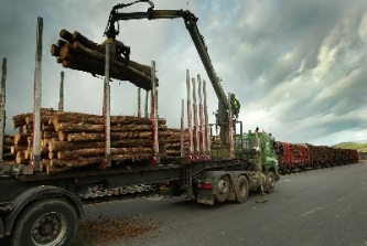 Forestry train