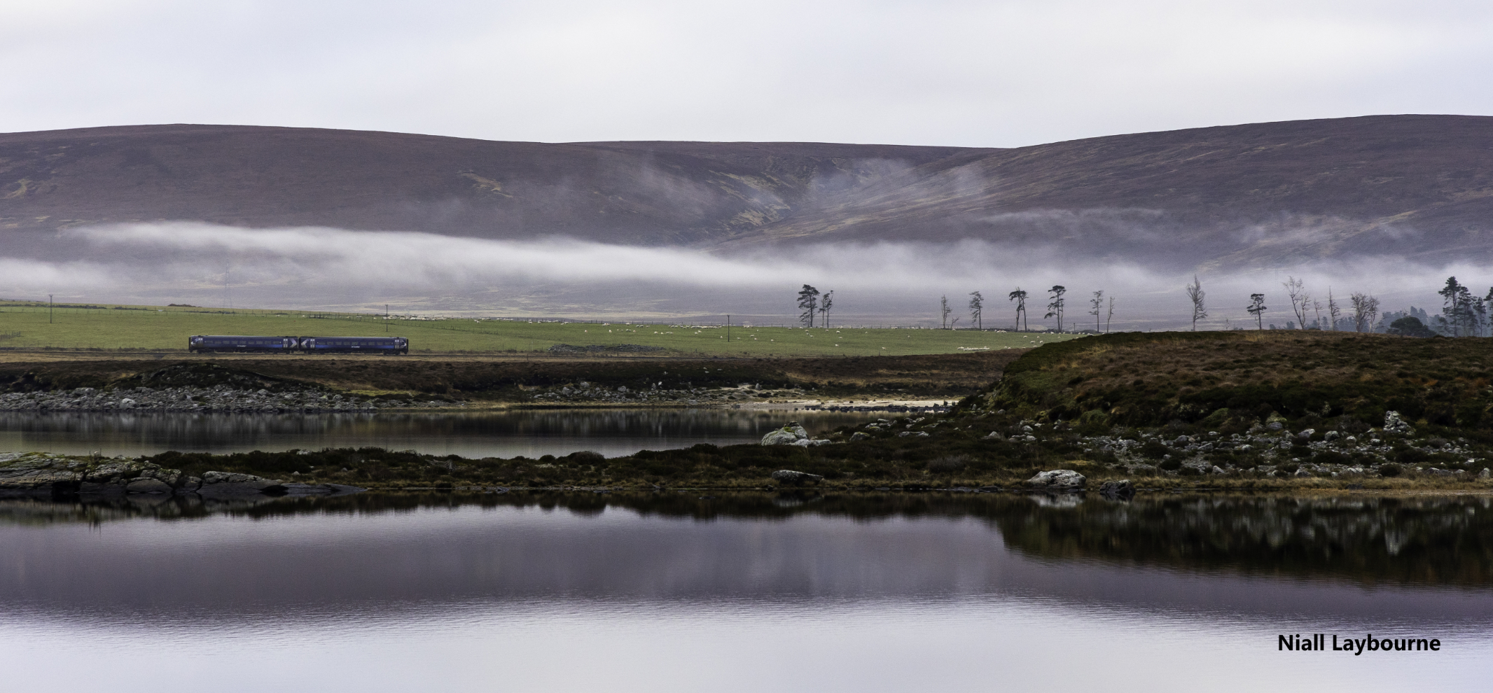 Photo by Niall Laybourne
